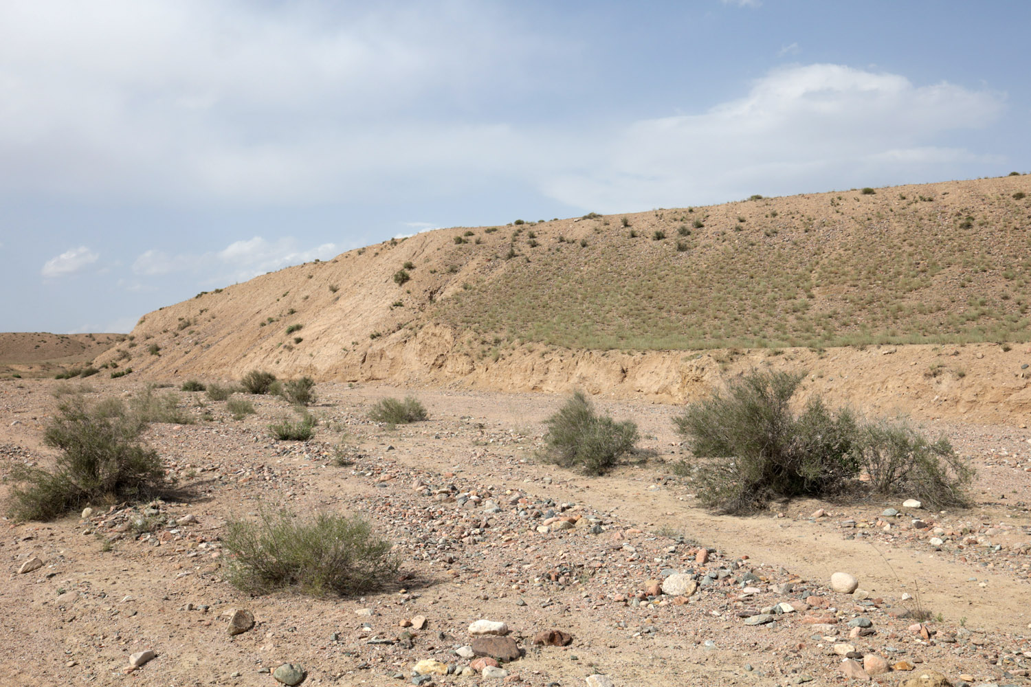 Папские адыры, image of landscape/habitat.