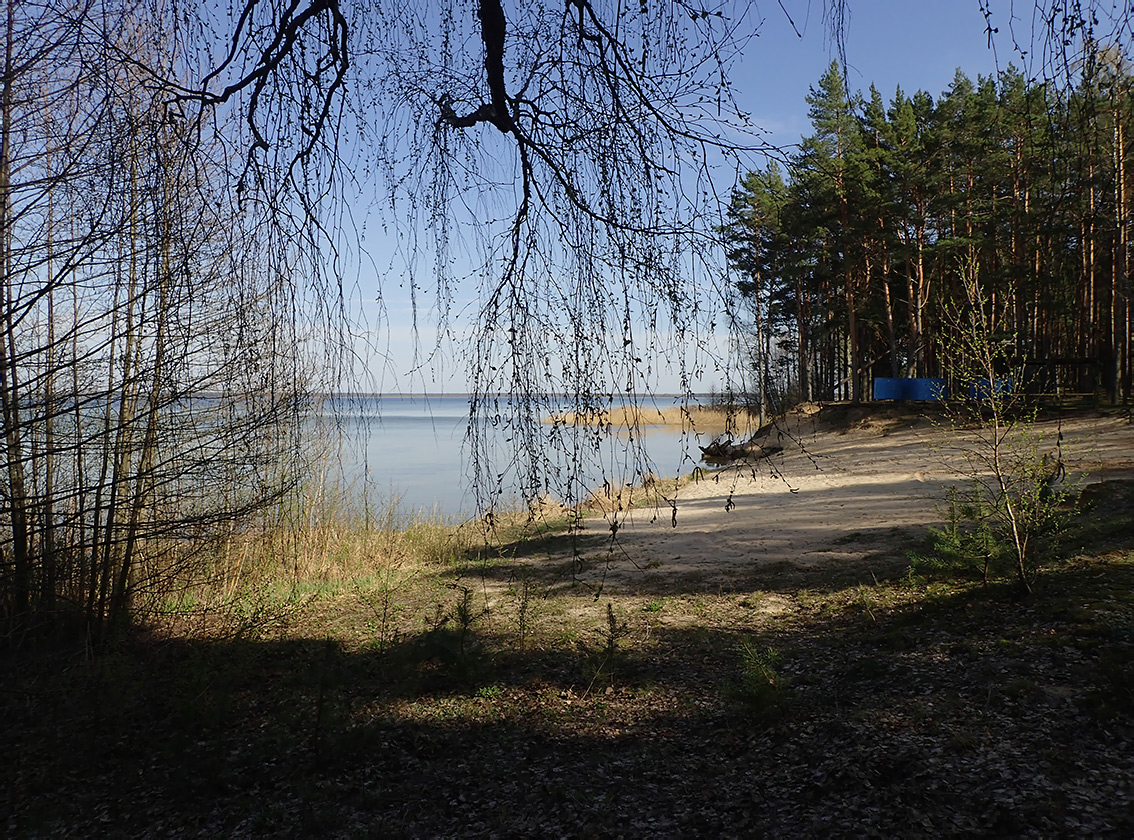 Национальный парк "Нарочанский", image of landscape/habitat.