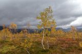 Долина Малого Вудъявра, image of landscape/habitat.