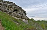 Долина реки Воргол, image of landscape/habitat.