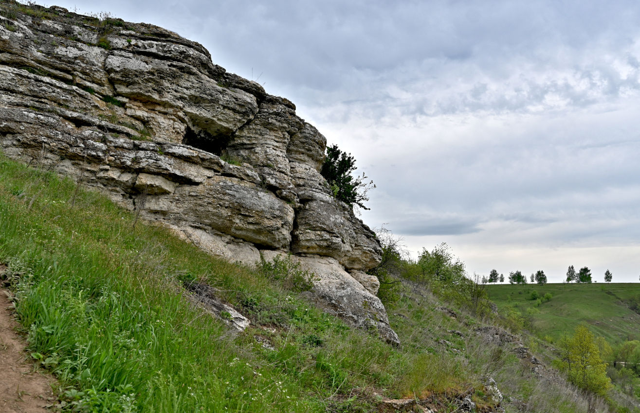 Долина реки Воргол, image of landscape/habitat.