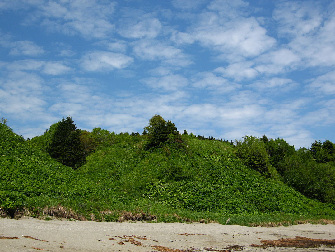 Бухта Тихая, image of landscape/habitat.