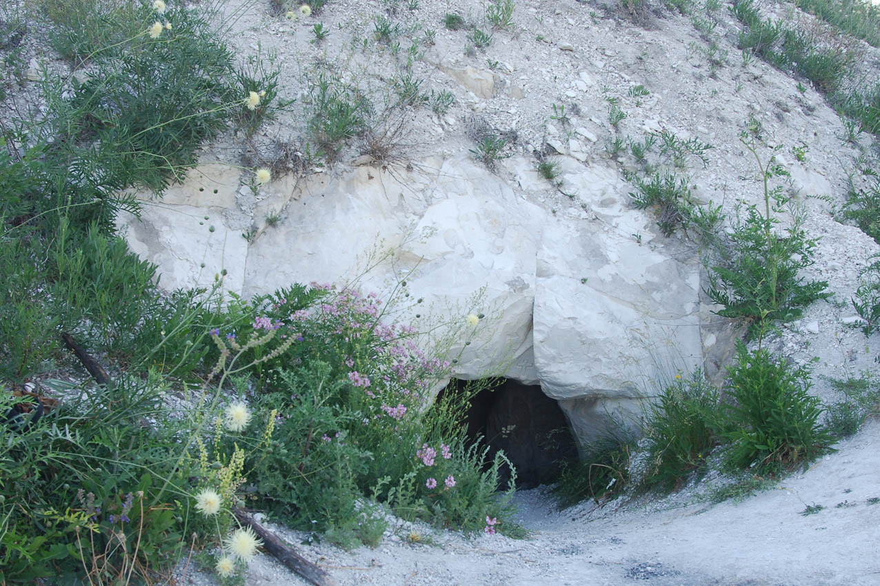 Шатрище, image of landscape/habitat.