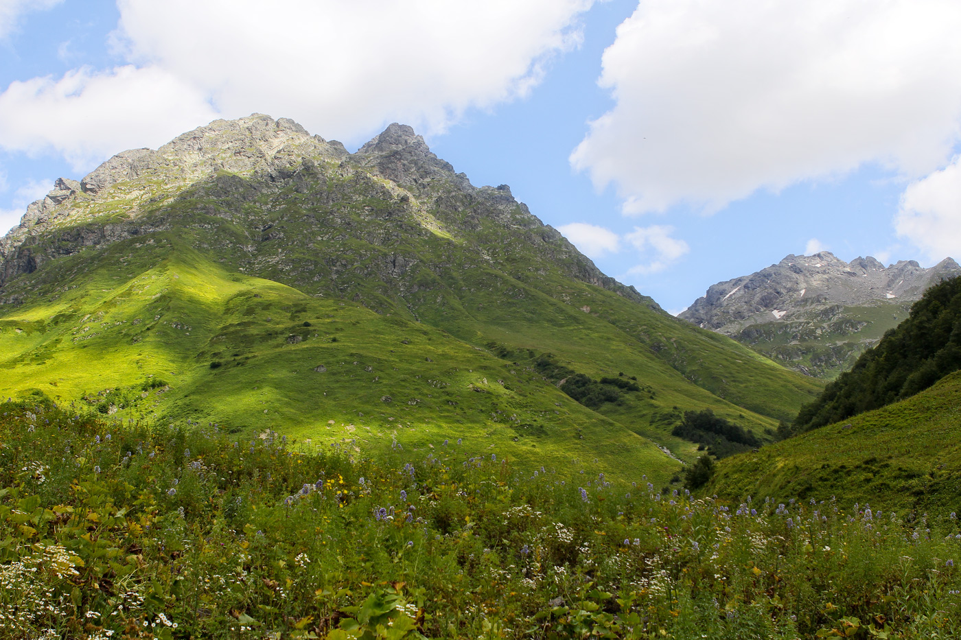 Авадхара (Ауадхара), image of landscape/habitat.