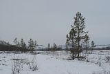Image of landscape