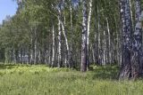 Image of landscape