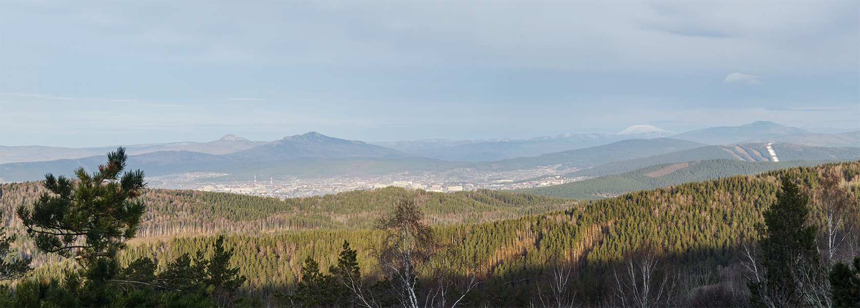 Гора Курташ, image of landscape/habitat.