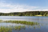 Ладожские шхеры, image of landscape/habitat.