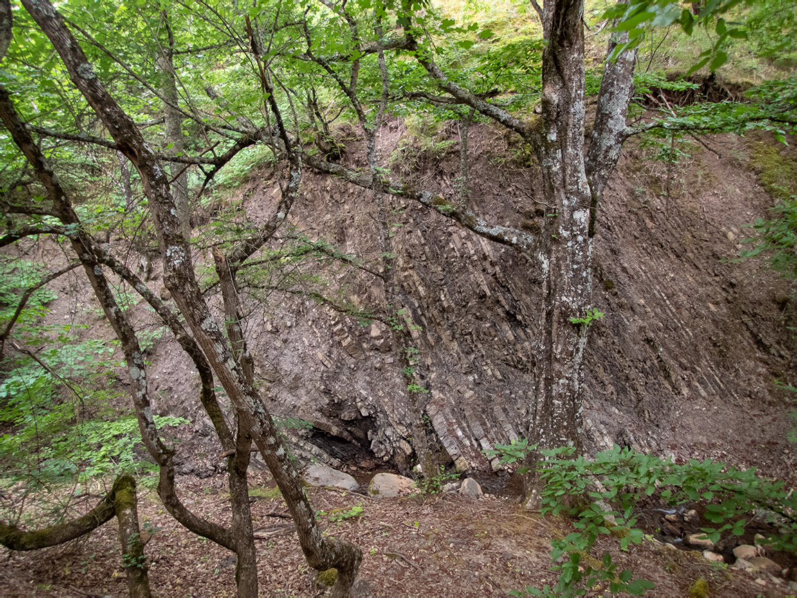 Долина реки Сотера, image of landscape/habitat.