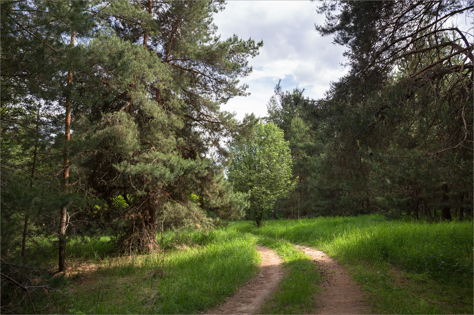 Камское Устье, image of landscape/habitat.
