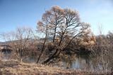 Image of landscape