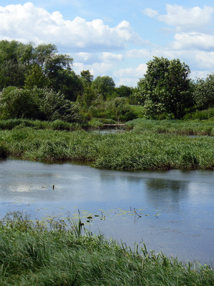 Долина Которосли в Ярославле, image of landscape/habitat.