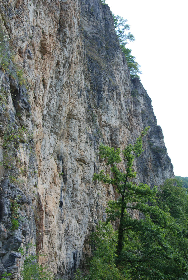 Хребет Уна-Коз, image of landscape/habitat.