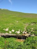 Image of landscape