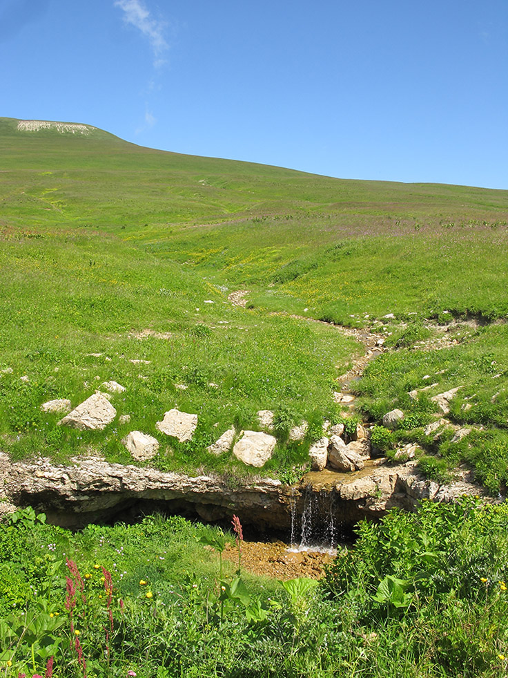 Абадзеш, image of landscape/habitat.