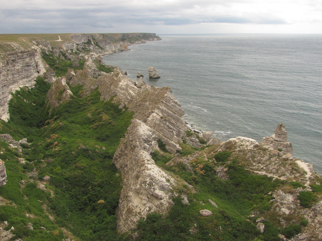 Джангуль, image of landscape/habitat.