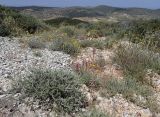 Image of landscape
