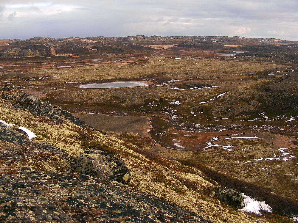 Долина ручья Хохрячий, image of landscape/habitat.