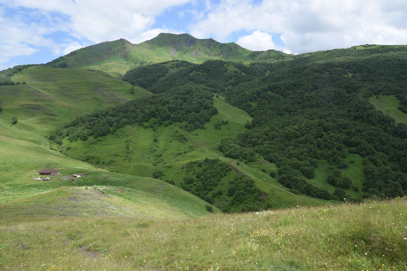 Сигнальная гора, изображение ландшафта.