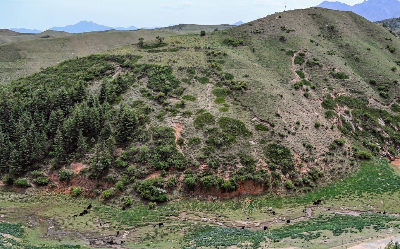 Долина Матисы, изображение ландшафта.