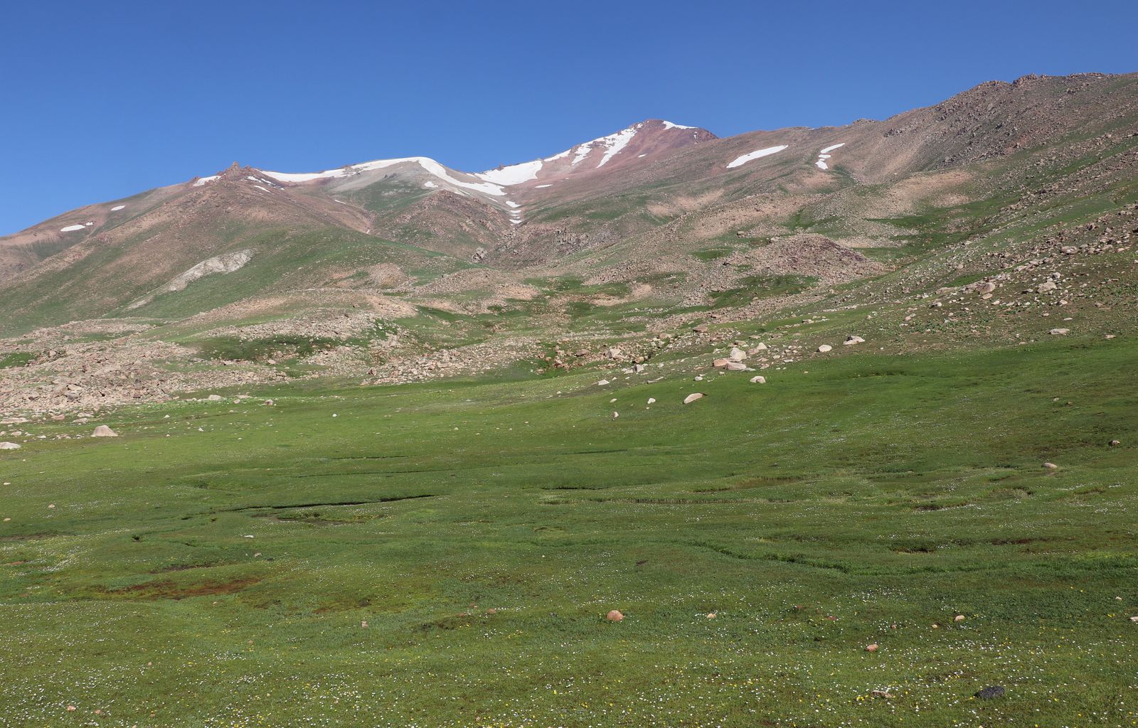 Учсай, image of landscape/habitat.