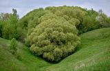 Долина реки Воргол, image of landscape/habitat.