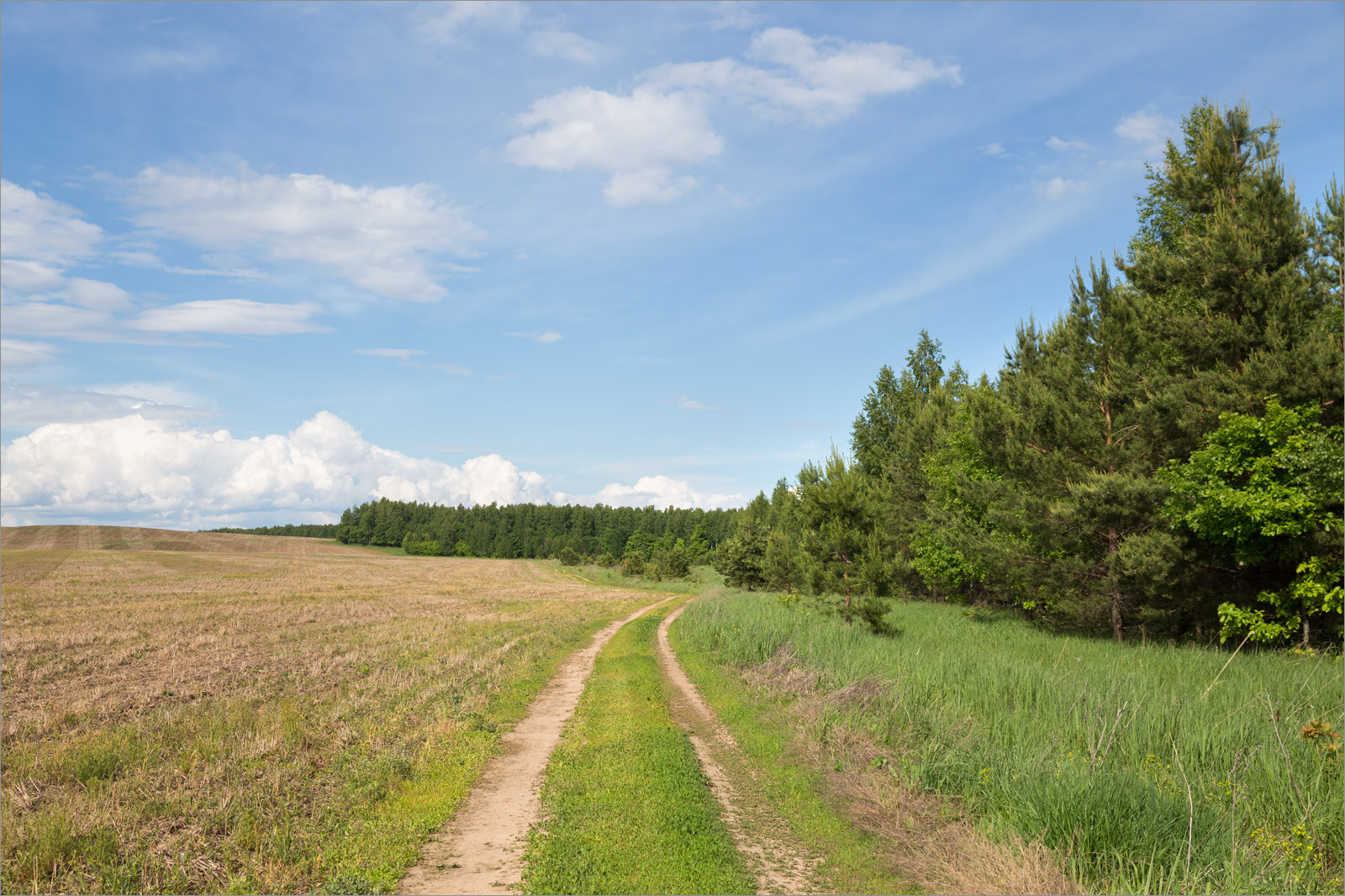 Камское Устье, image of landscape/habitat.