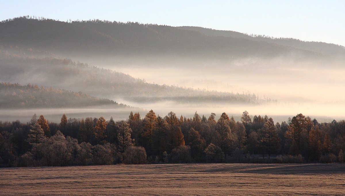 Излучина Иркута близ Тибельти, image of landscape/habitat.
