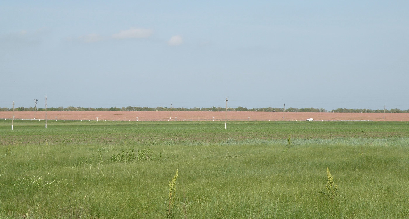 Урочище Выселки, image of landscape/habitat.