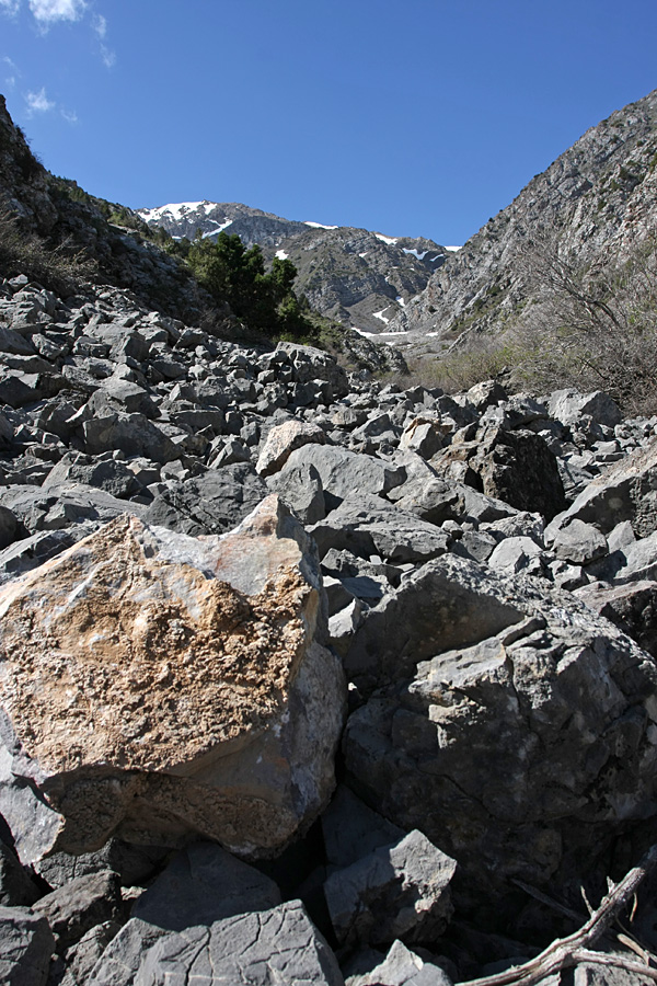 Ущелье Иргайлы, image of landscape/habitat.
