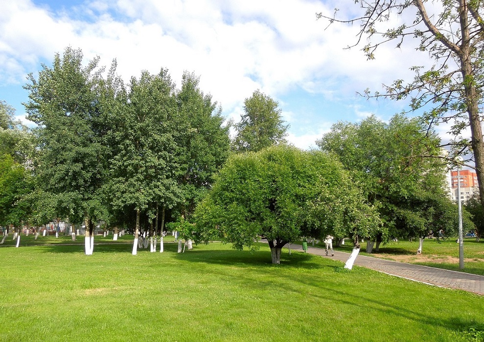 Реутов, image of landscape/habitat.
