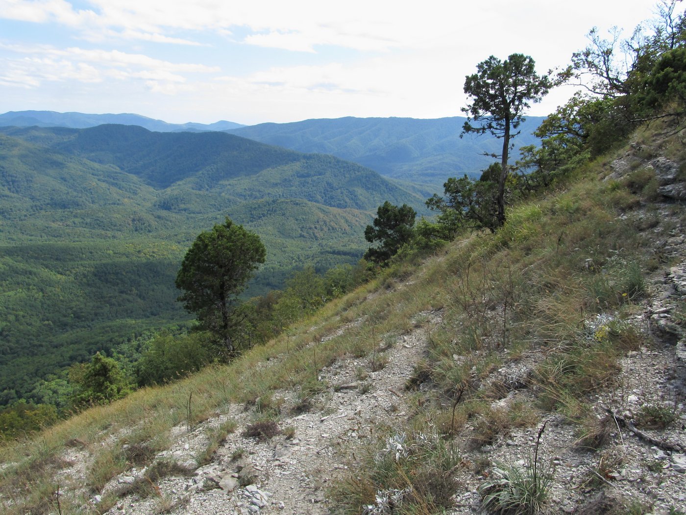 Гора Западный Папай, image of landscape/habitat.