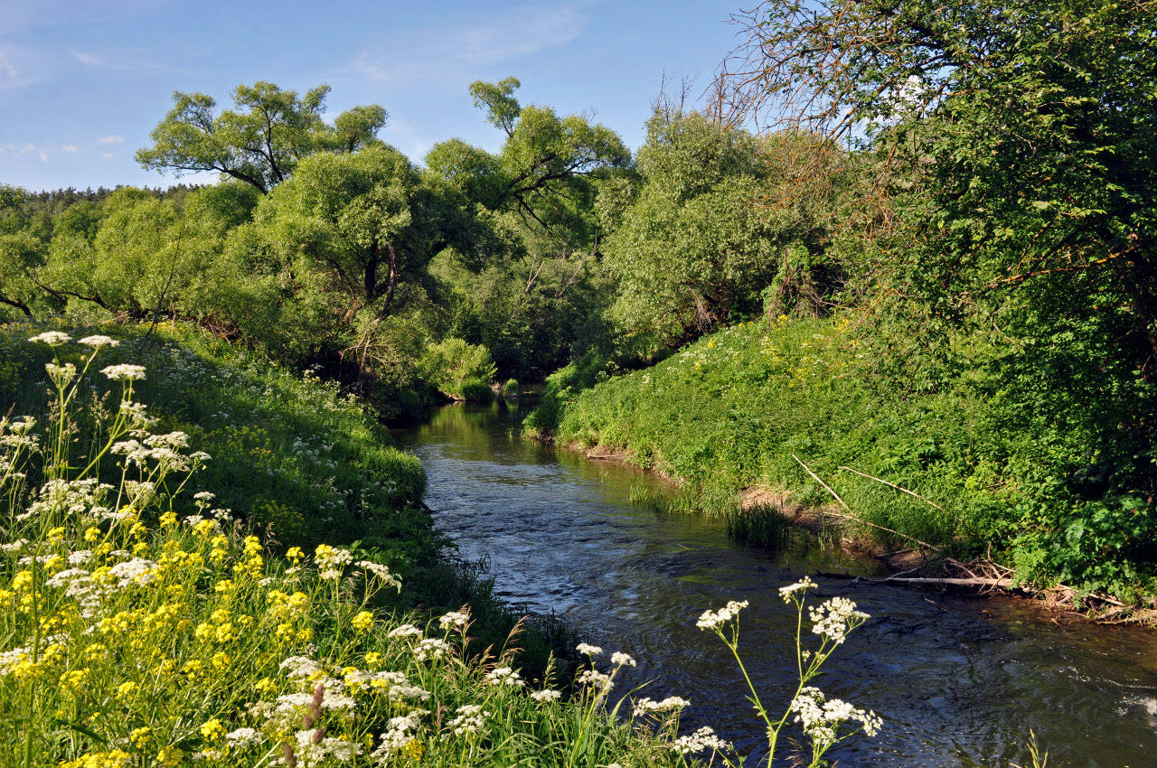 Долина реки Вашана, image of landscape/habitat.