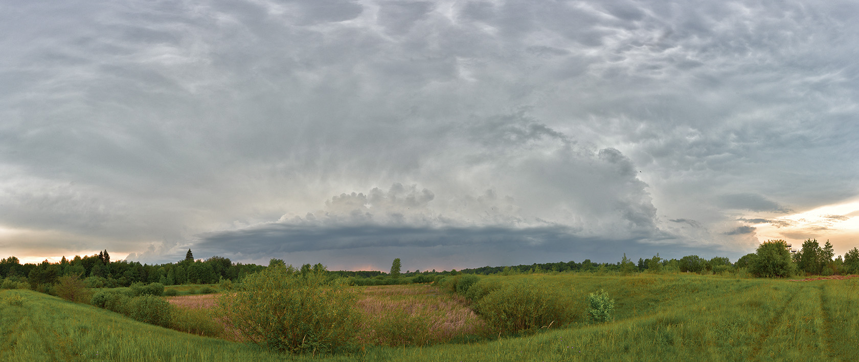 Город Кирово-Чепецк, image of landscape/habitat.