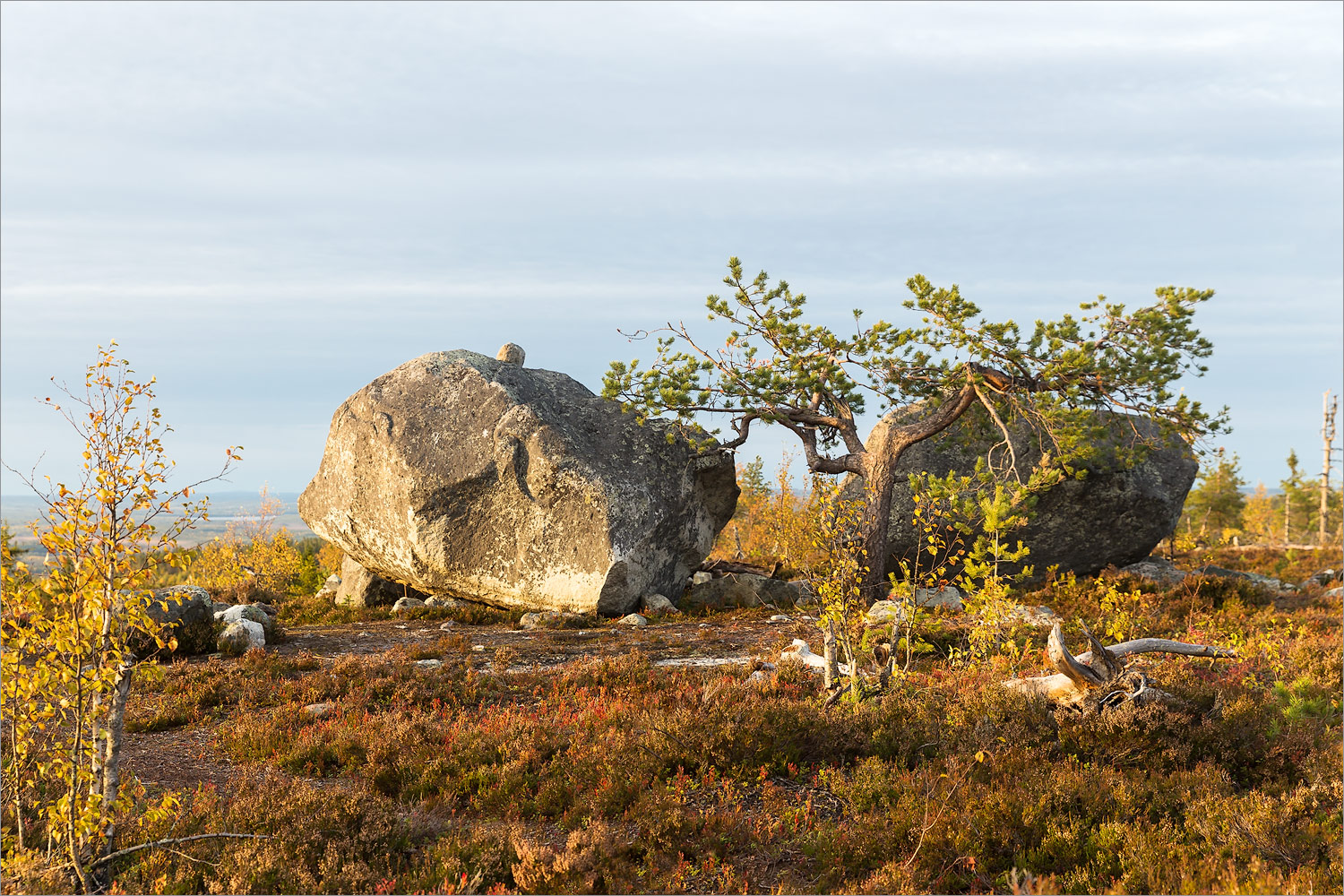 Воттоваара, image of landscape/habitat.