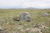 Image of landscape