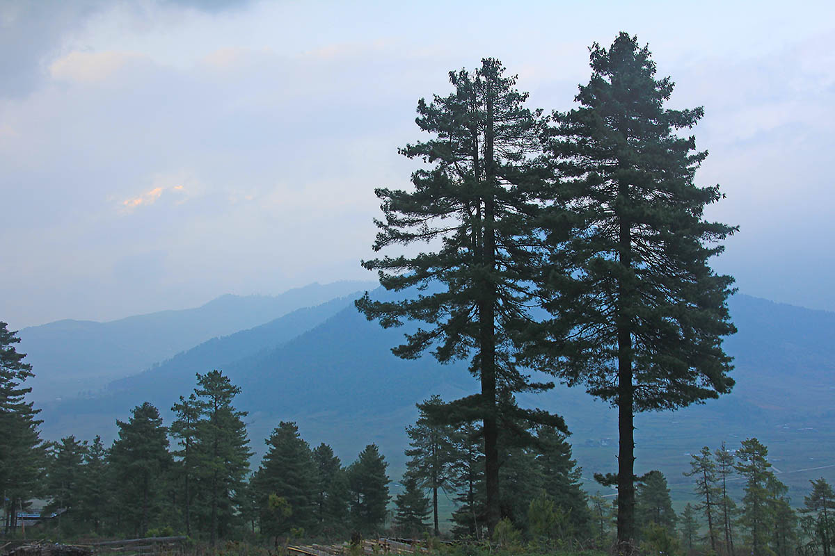 Долина Фобжиха, image of landscape/habitat.