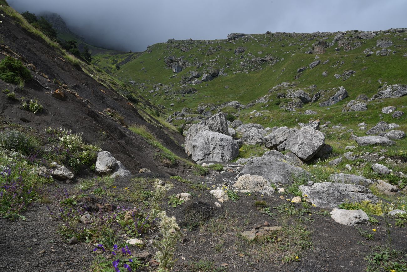 Альплагерь "Кязи" и окрестности, image of landscape/habitat.