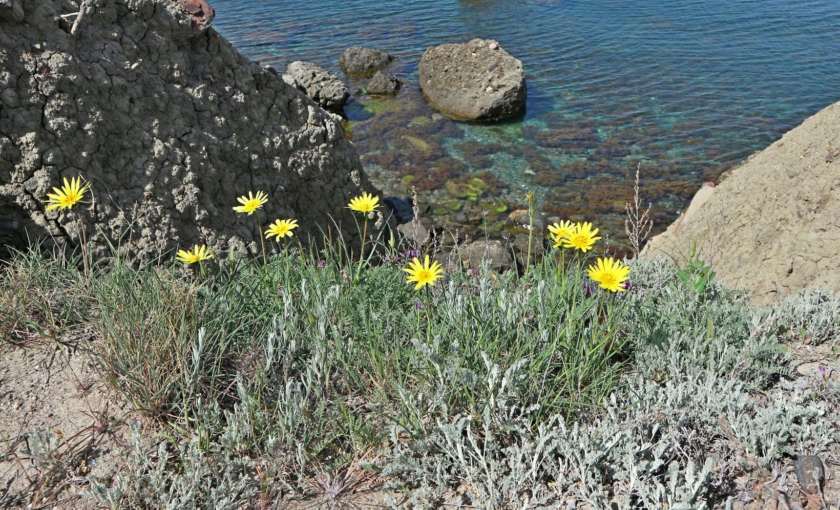 Меганом, image of landscape/habitat.