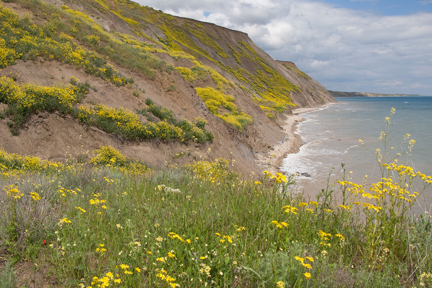 Железный Рог, image of landscape/habitat.