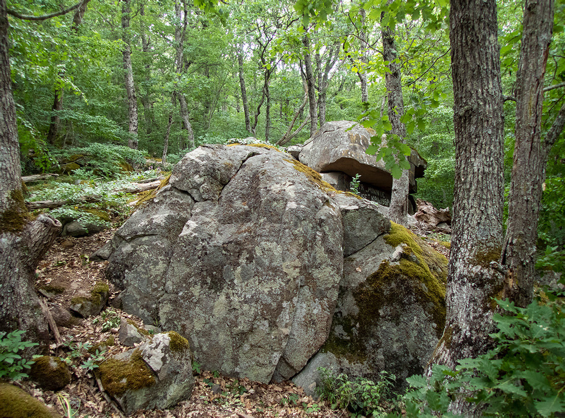 Аюдаг, image of landscape/habitat.