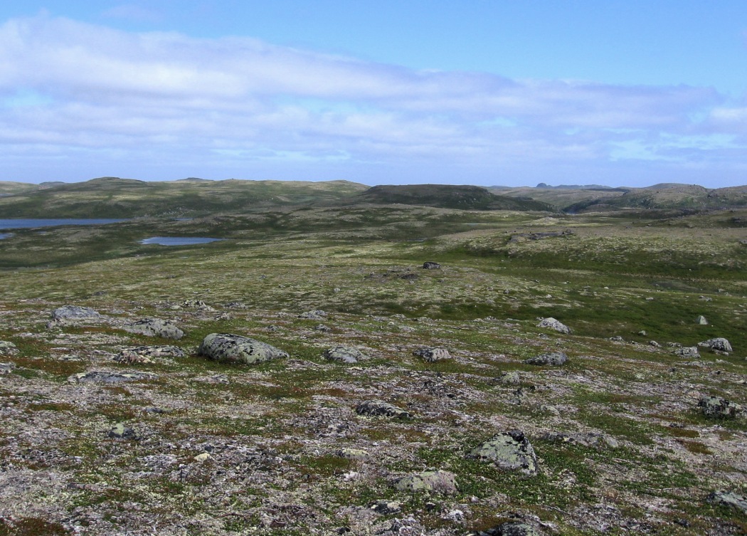 Каменная, image of landscape/habitat.