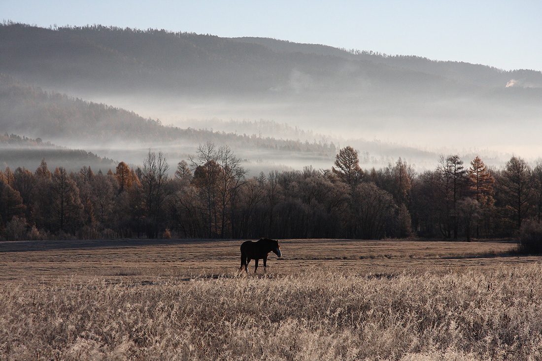Излучина Иркута близ Тибельти, image of landscape/habitat.