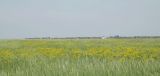 Image of landscape