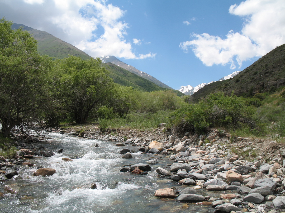 Каньон Коксай, image of landscape/habitat.