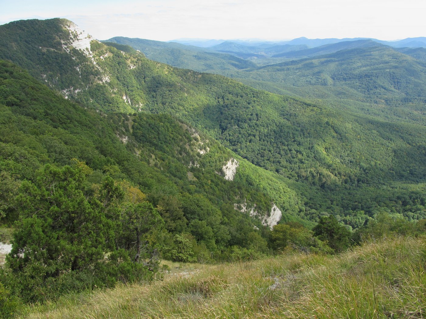 Гора Западный Папай, image of landscape/habitat.