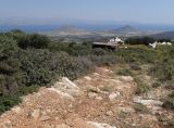 Image of landscape