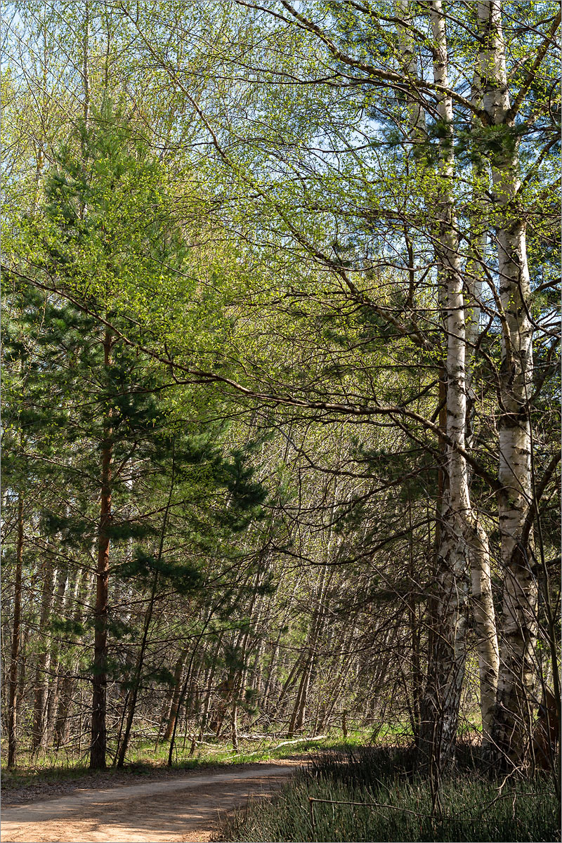 Противье, image of landscape/habitat.