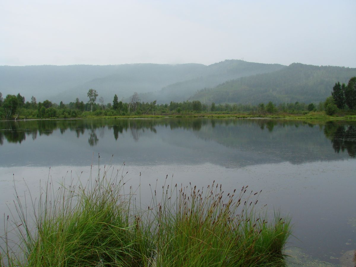 Мыс Шаманский, image of landscape/habitat.