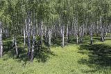 Image of landscape